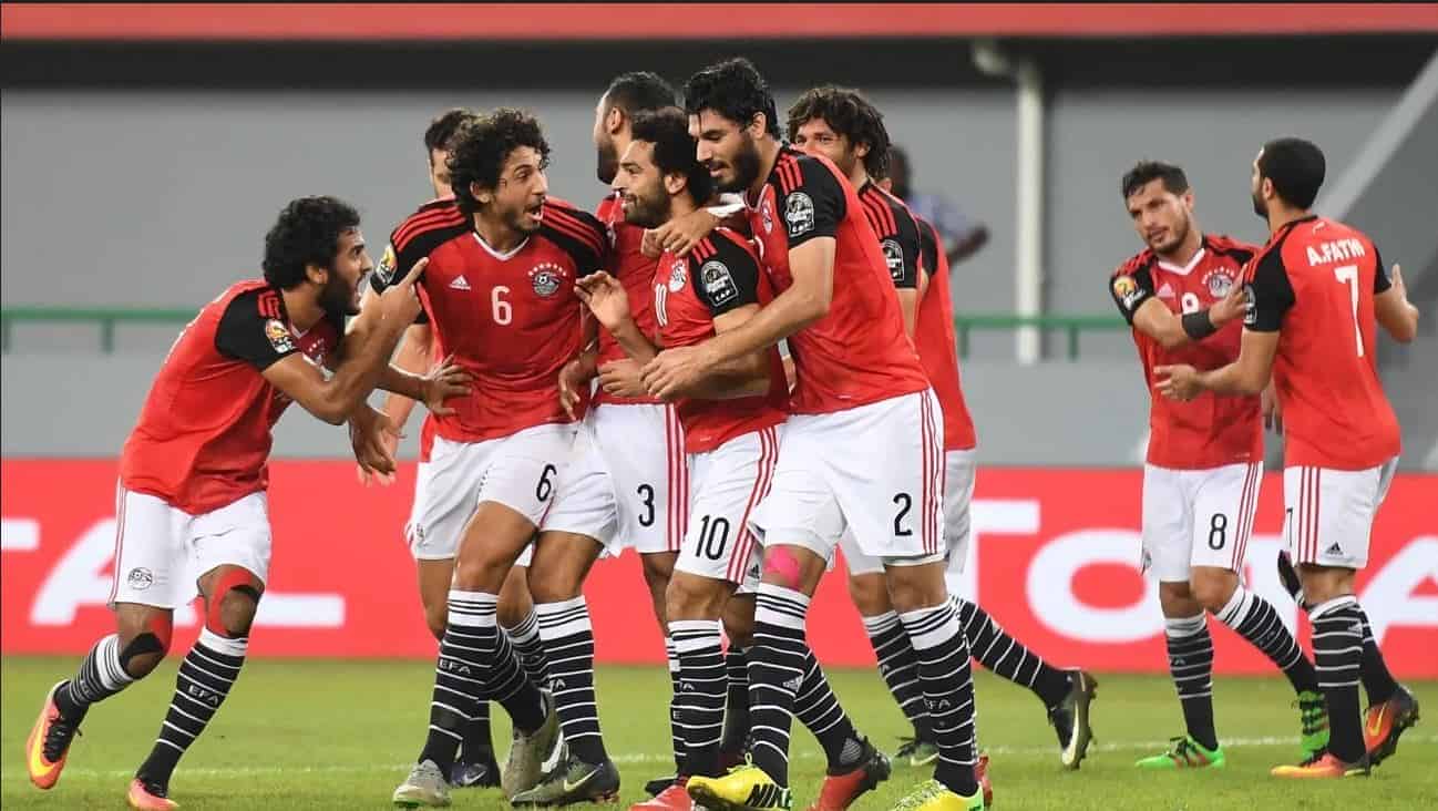 فتنس تتحول إلى الخسارة السنوية