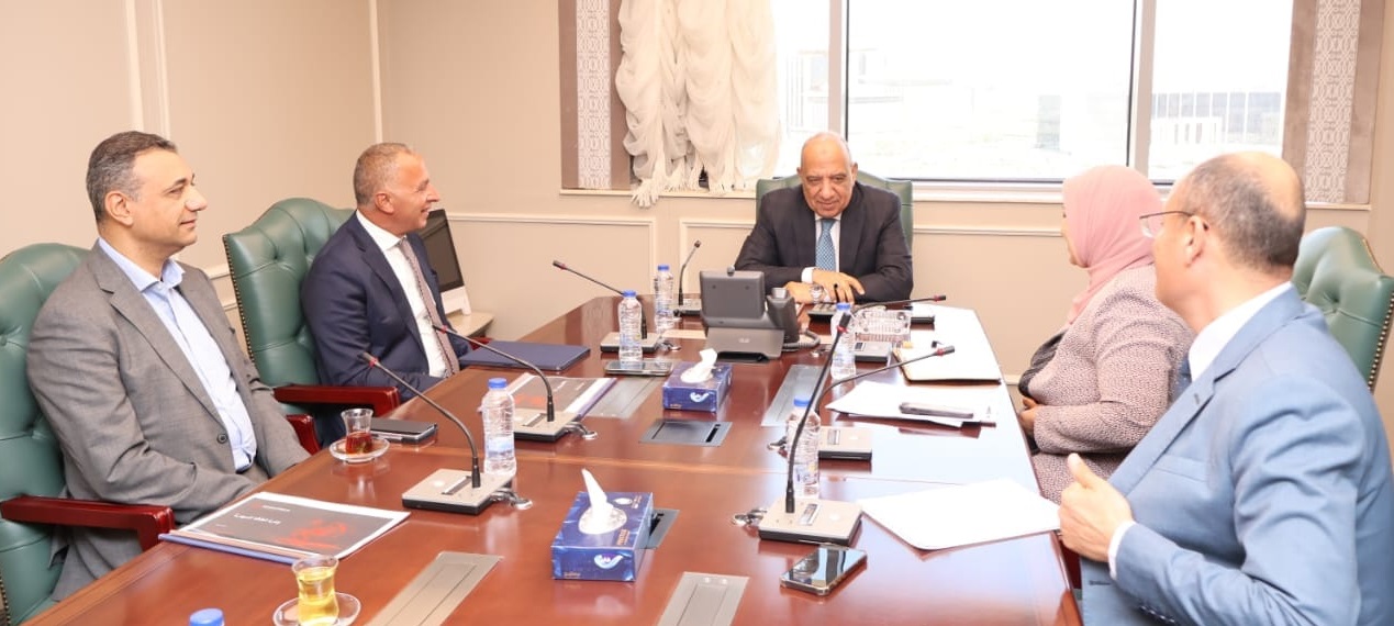 Electricity Ministry, Elsewedy Electric mull cooperation in electricity sector