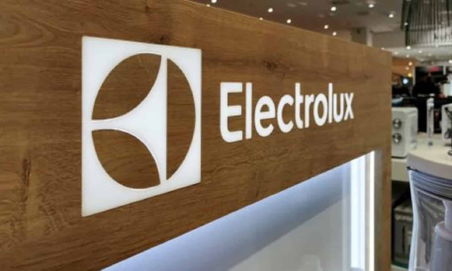 Electrolux retains its brands in Egypt, plans for growth