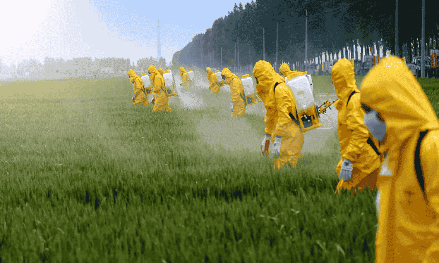 Kafr El Zayat Pesticides’ Q1 consolidated profit increases 151.9% YoY
