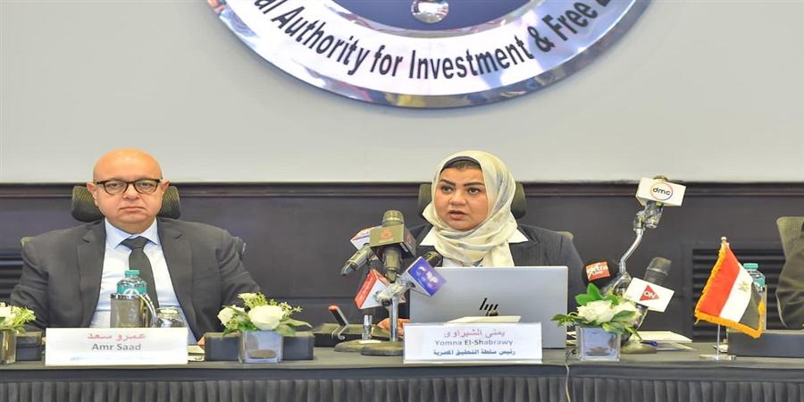 الاستثمار تعقد جلسة استماع بشأن فرض رسوم وقائية على واردات الصاج
