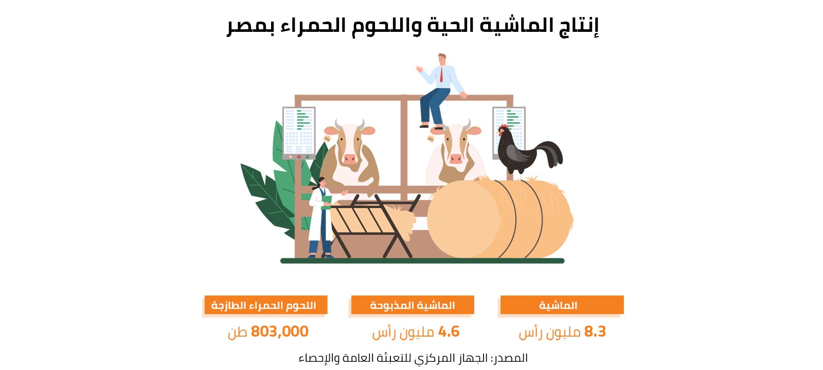 إنتاج الماشية الحية واللحوم الحمراء بمصر