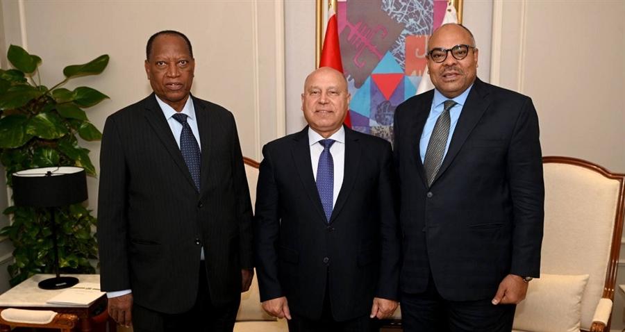 مصر وتنزانيا تبحثان تعزيز التعاون الصناعي والنقل وتنفيذ مشروعات مشتركة