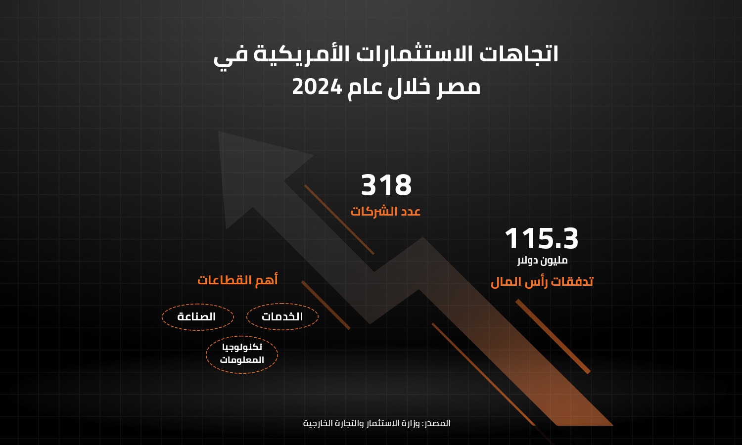 اتجاهات الاستثمارات الأمريكية في مصر خلال عام 2024