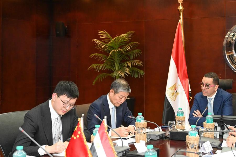 Egypt, China mull stronger economic ties

