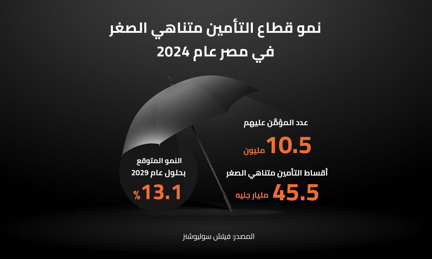 نمو قطاع التأمين متناهي الصغر في مصر عام 2024