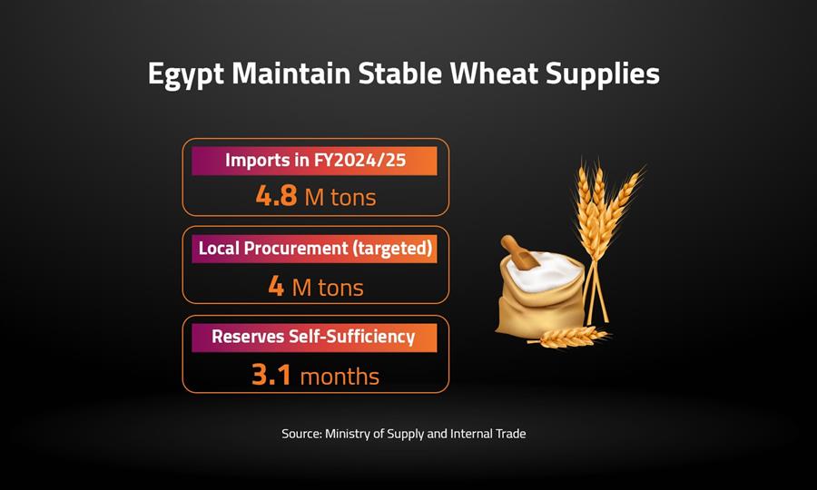 Egypt Maintain Stable Wheat Supplies 