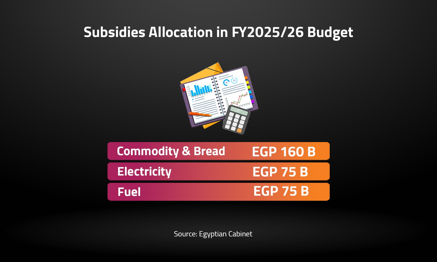 Subsidies Allocation in FY2025/26 Budget