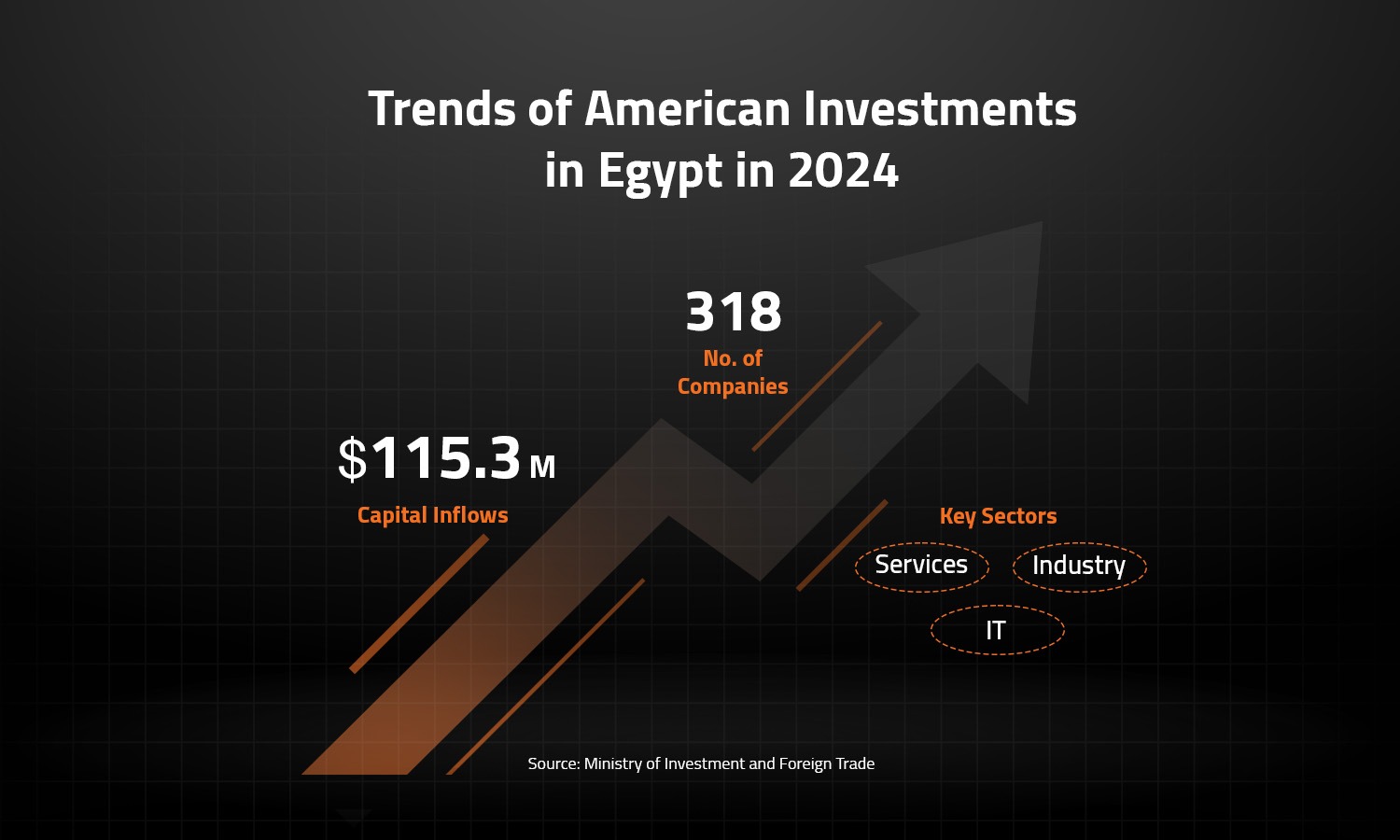 Trends of American Investments in Egypt in 2024 