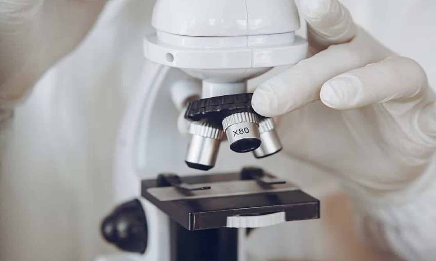 City Lab to acquire 5 labs for EGP 1.051B

