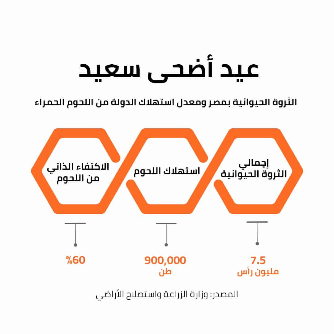عيد أضحى سعيد 