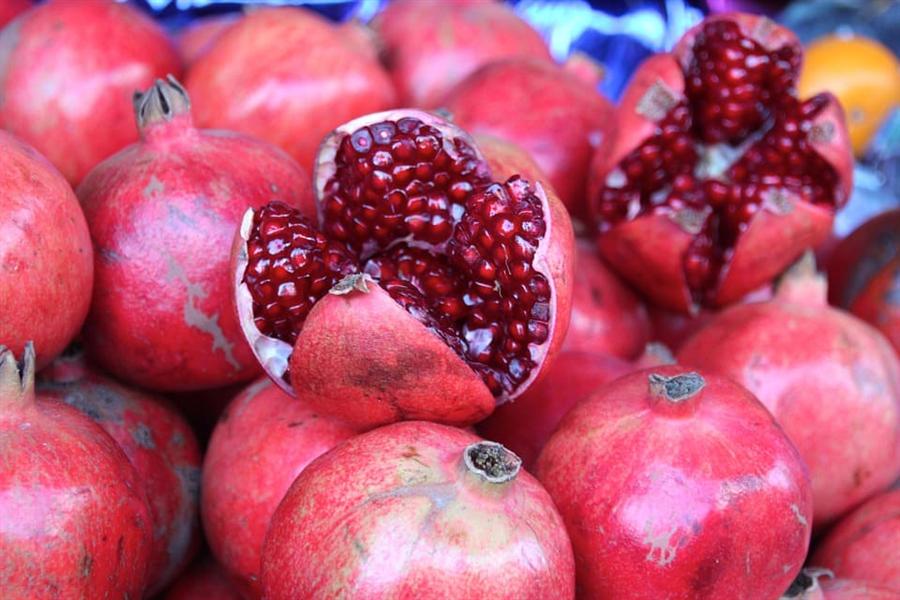 الزراعة تعلن فتح السوق الفنزويلي أمام صادرات مصر من الرمان الطازج
 الزراعة تعلن فتح السوق الفنزويلي أمام صادرات مصر من الرمان الطازج