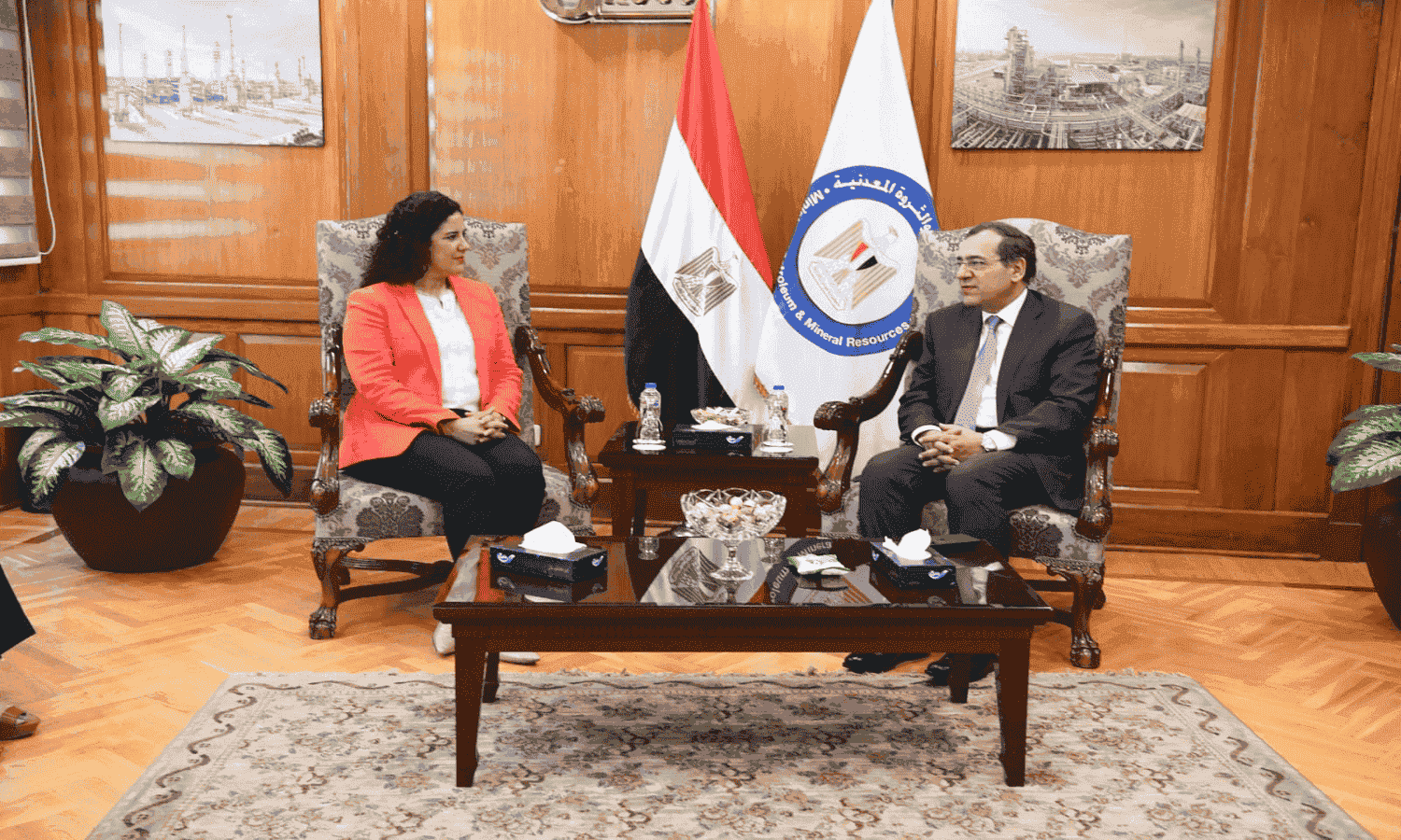 Egypt, US mull further cooperation in decarbonization, green energy utilization

