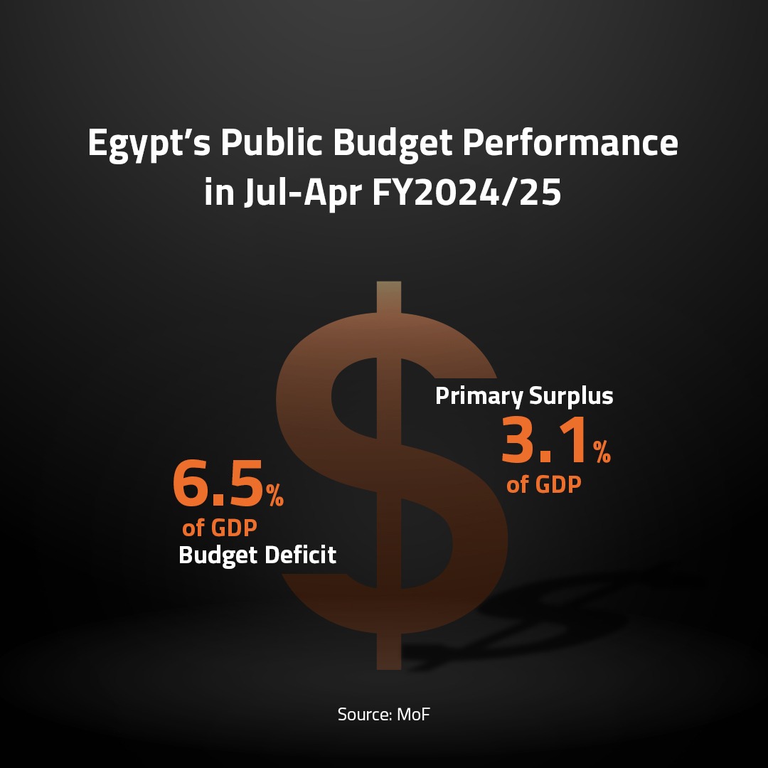 Egypt’s Public Budget Performa