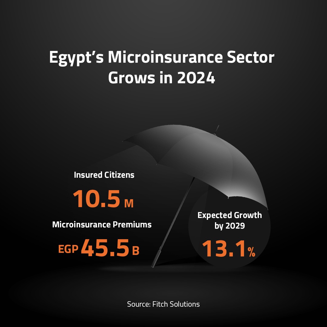 Egypt’s Microinsurance Sector 