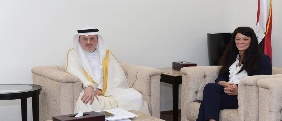 المشاط: برنامج تنفيذي لتعزيز التحول الهيكلي في الاقتصاد المصري