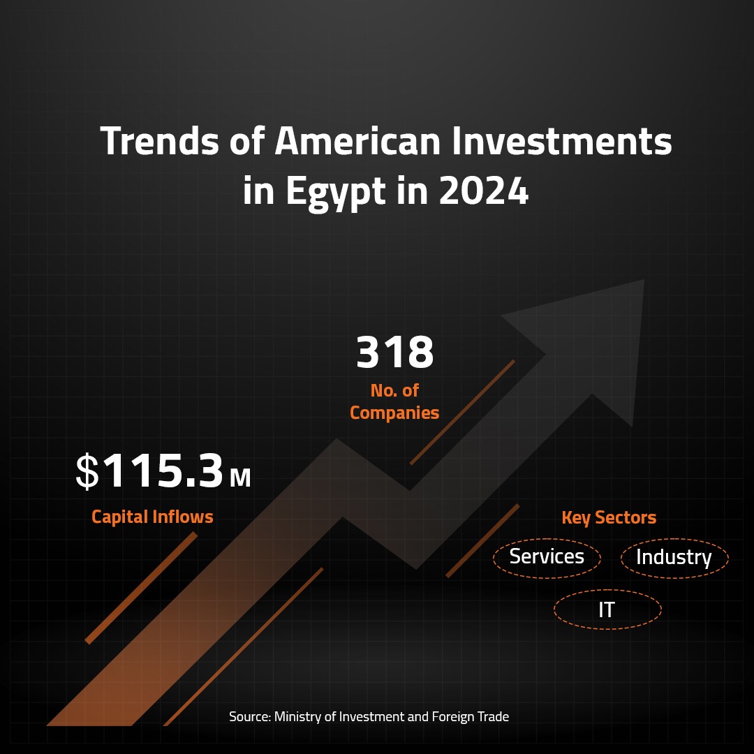 Trends of American Investments in Egypt in 2024 