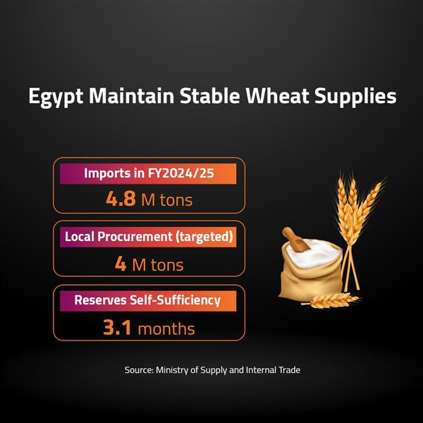 Egypt Maintain Stable Wheat Supplies 