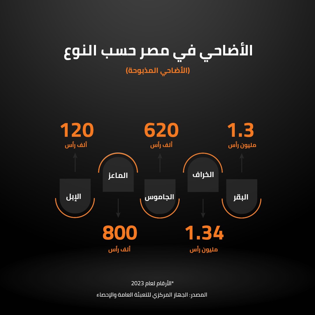  أنواع الأضاحي (الحيوانات) في 